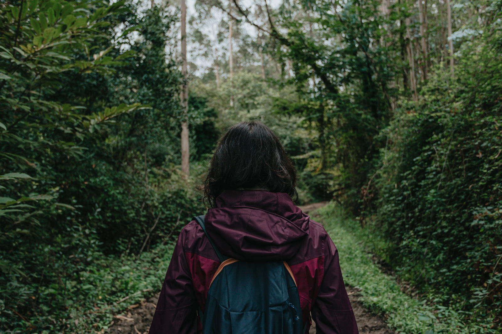 Woman in a lightweight packable windbreaker walking a lush green forest path